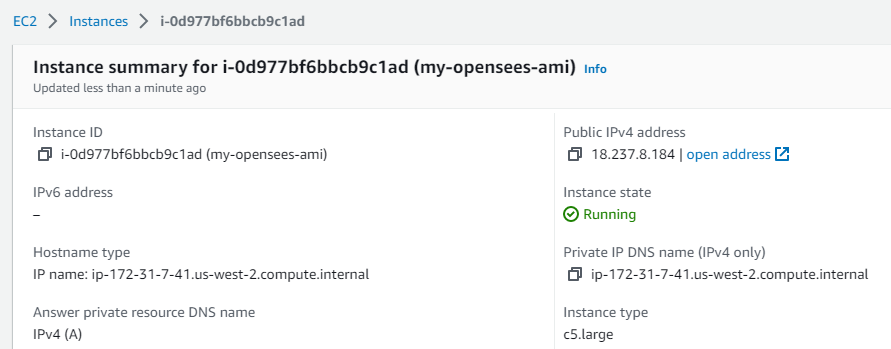 Instance Details